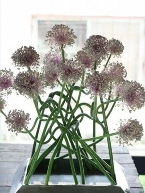 花屋のテーブルで撮影。