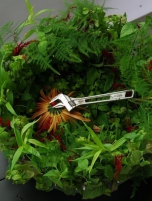 スパナと植物のコラボ