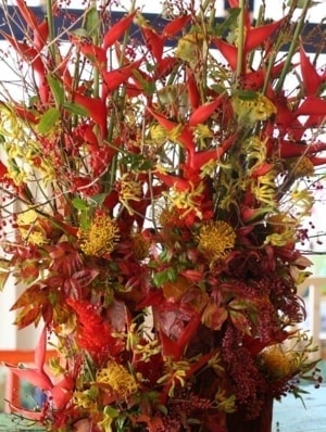 紅葉葉とヘリコニア